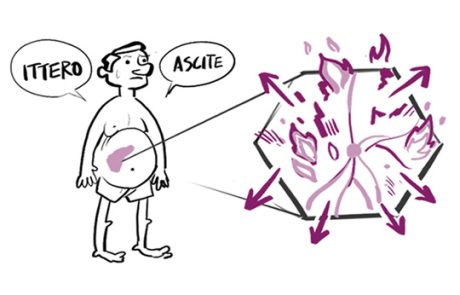 illustrazione ittero 540